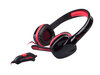 Genesis PC gaming headset H22